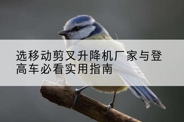 泉州电动升降机厂家-选移动剪叉升降机厂家与登高车必看实用指南