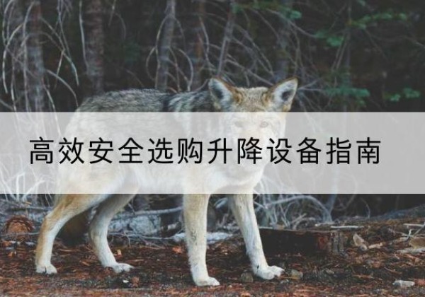泉州升降货梯厂家推荐-*安全选购升降设备指南