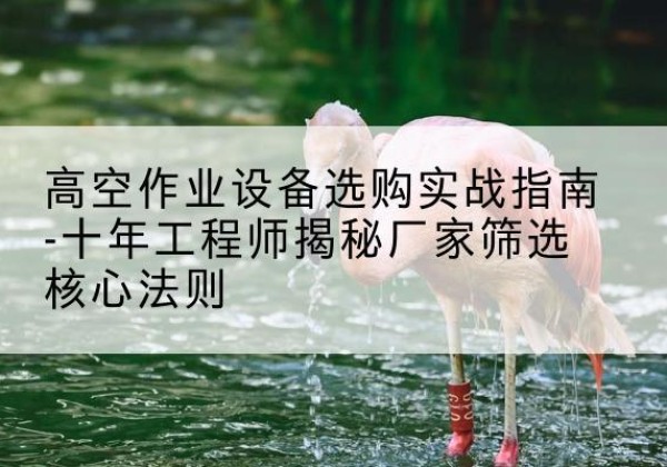 泉州剪叉式升降机厂家-高空作业设备选购实战指南-十年工程师揭秘厂家筛选核心法则